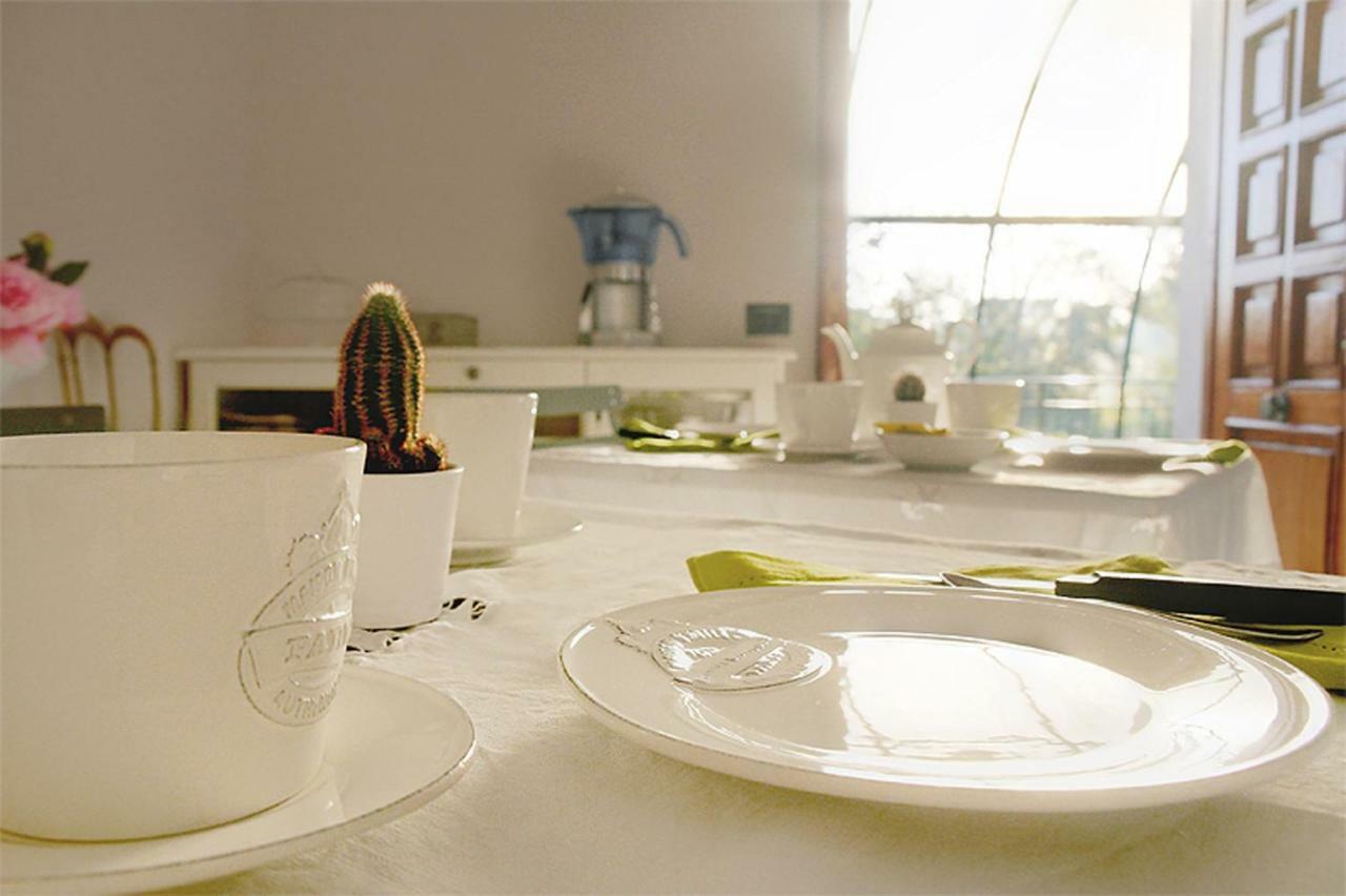 Residenza Guglielmi Bed & Breakfast Campobasso Exterior photo